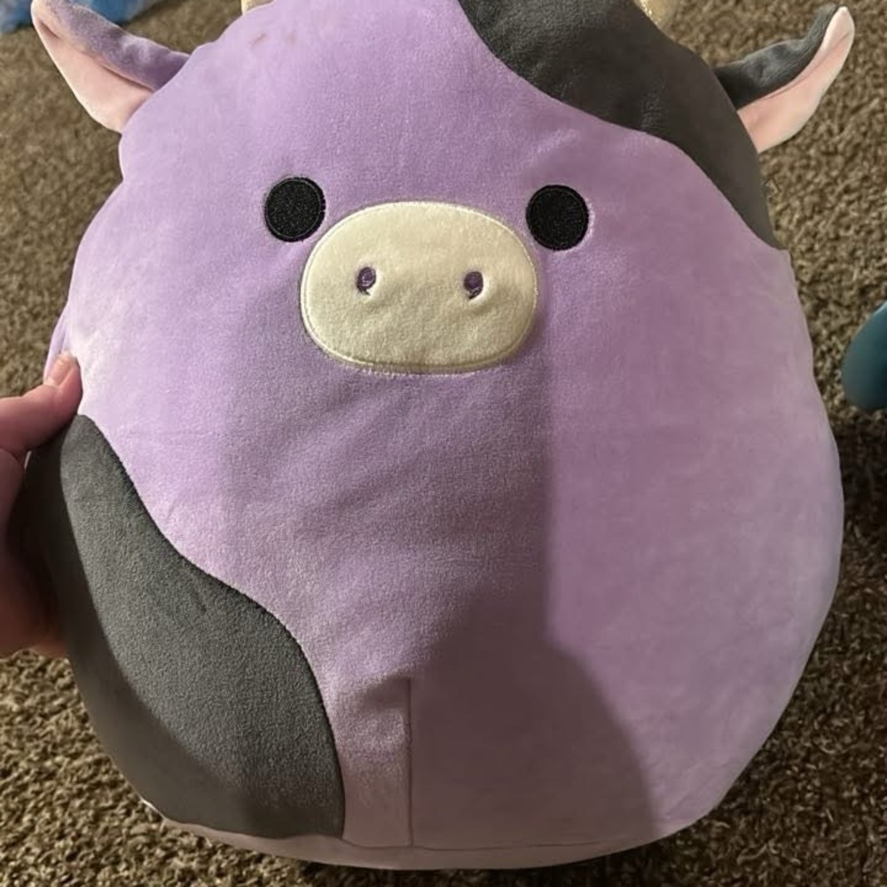 Squishmallows - Picture 3 of 4